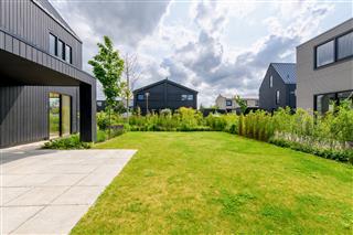 Tuin rondom