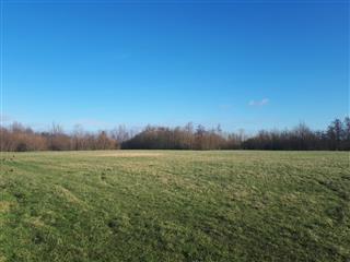 omslagfoto