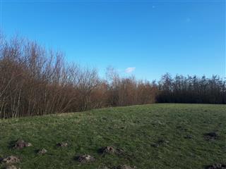 omslagfoto